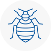 Bed Bug Extermination In Langley Green